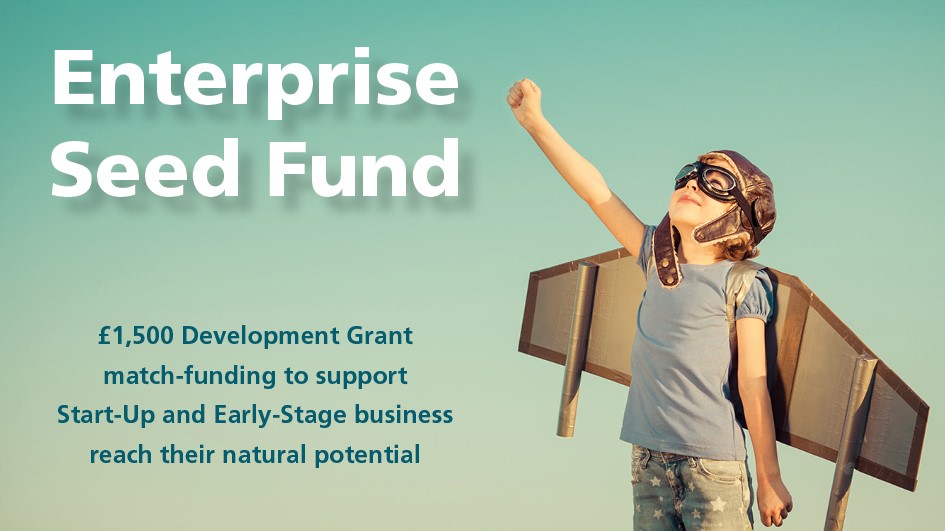 Enterprise Seed Fund