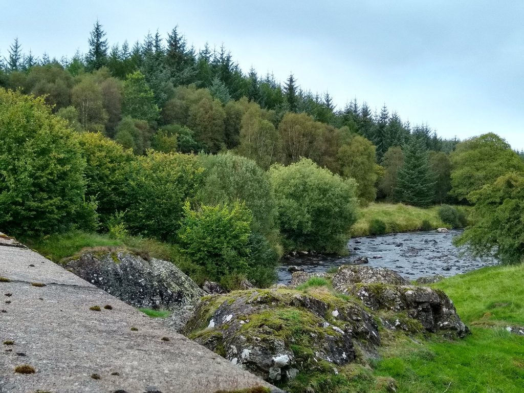 Carsphairn Community Woodland.