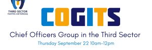 COGITS Chief Officers Group in the Third Sector September 22