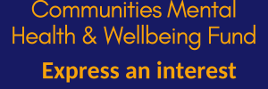 Communities Mental Health and Wellbeing Fund (2)