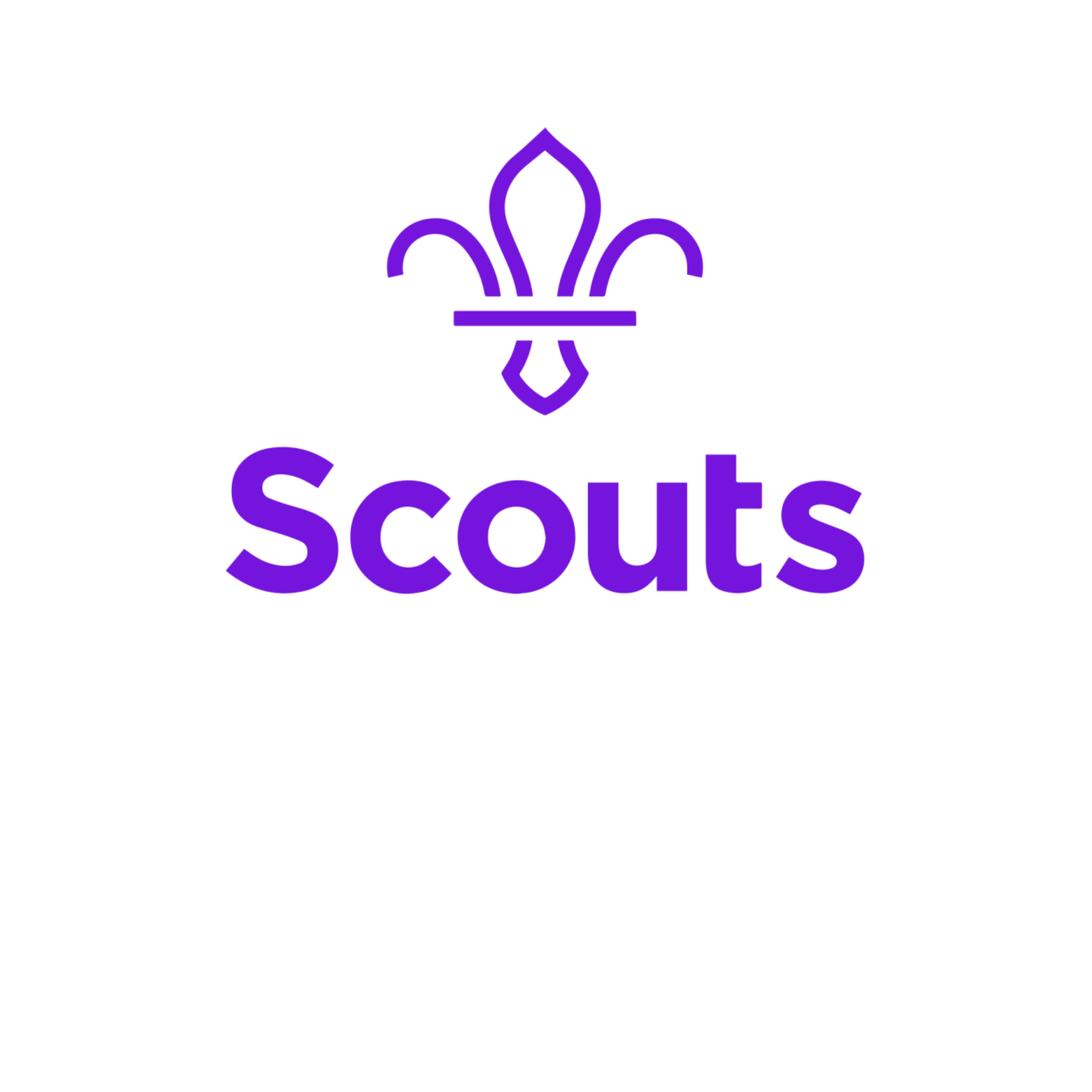 Section assistant for Scouts [20737]