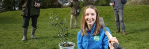 South of Scotland tree planting initiative