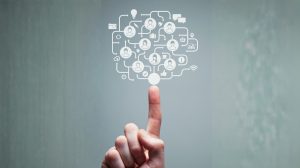 Social enterprise hive