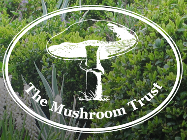 The Mushroom Trust